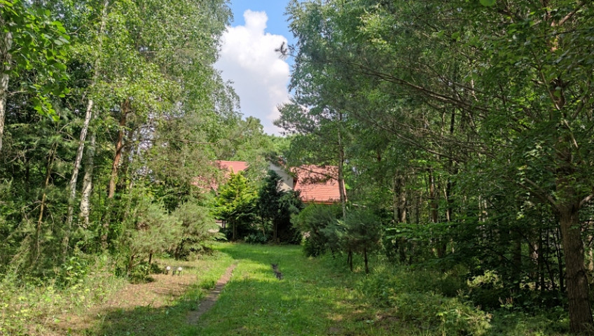 Dom Sprzedaż Ciućkowo